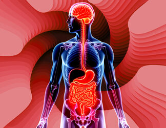Curso Internacional de Microbiota 2025